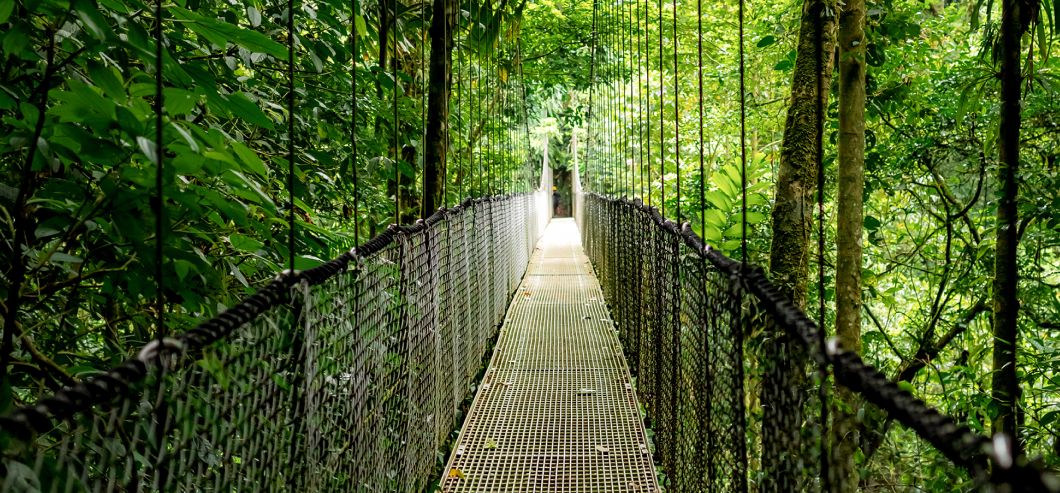 ออกแบบเพื่อความยั่งยืน.