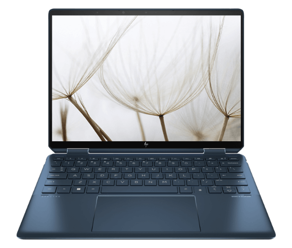 w100_color2.png